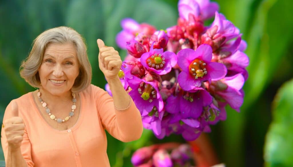 Trasforma il tuo giardino in un paradiso invernale con queste piante perenni magiche