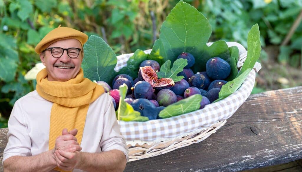 Moltiplica gratis i tuoi fichi in inverno: il segreto che nessuno ti ha mai svelato