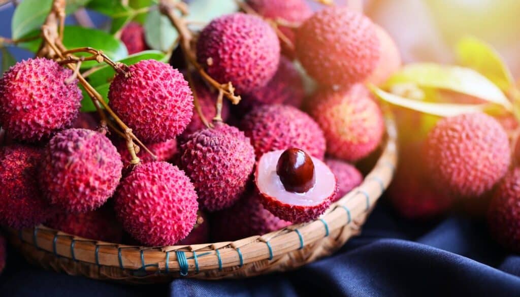 La guida per far crescere una pianta di litchi da un nocciolo: risultati sorprendenti in 3 mesi